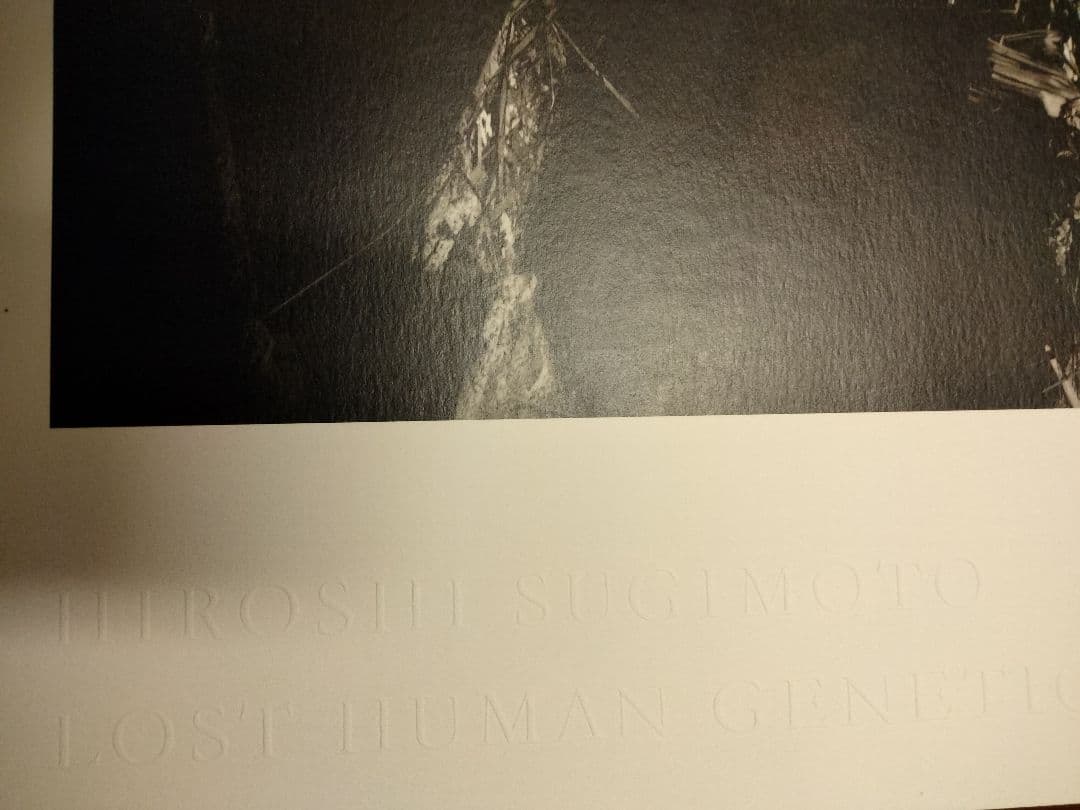 杉本博司　ポスター