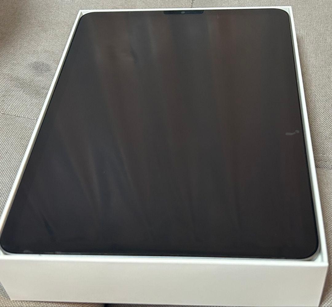 Apple iPad Pro (11インチ) 256GB 第４世代