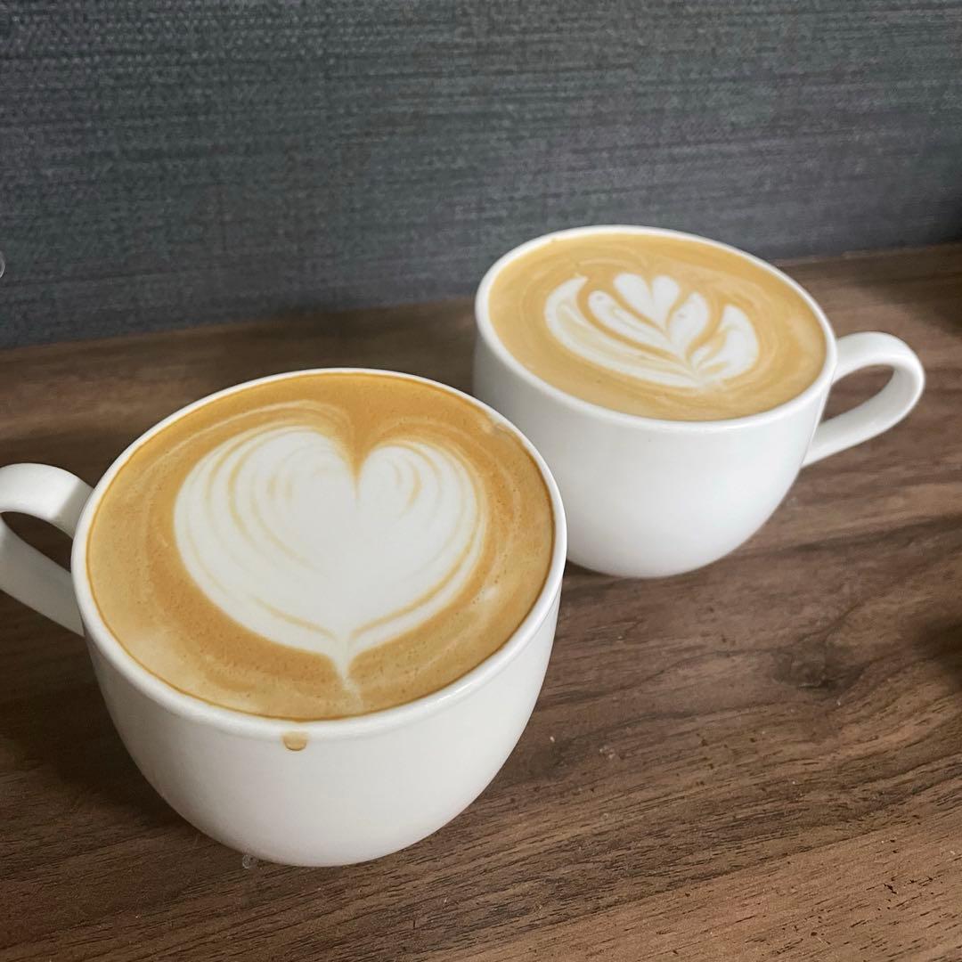 Solis（ソリス）バリスタ グラングストー SK1014