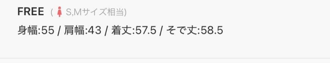 Spick&Span ストレッチジップフードパーカー　ブラウン