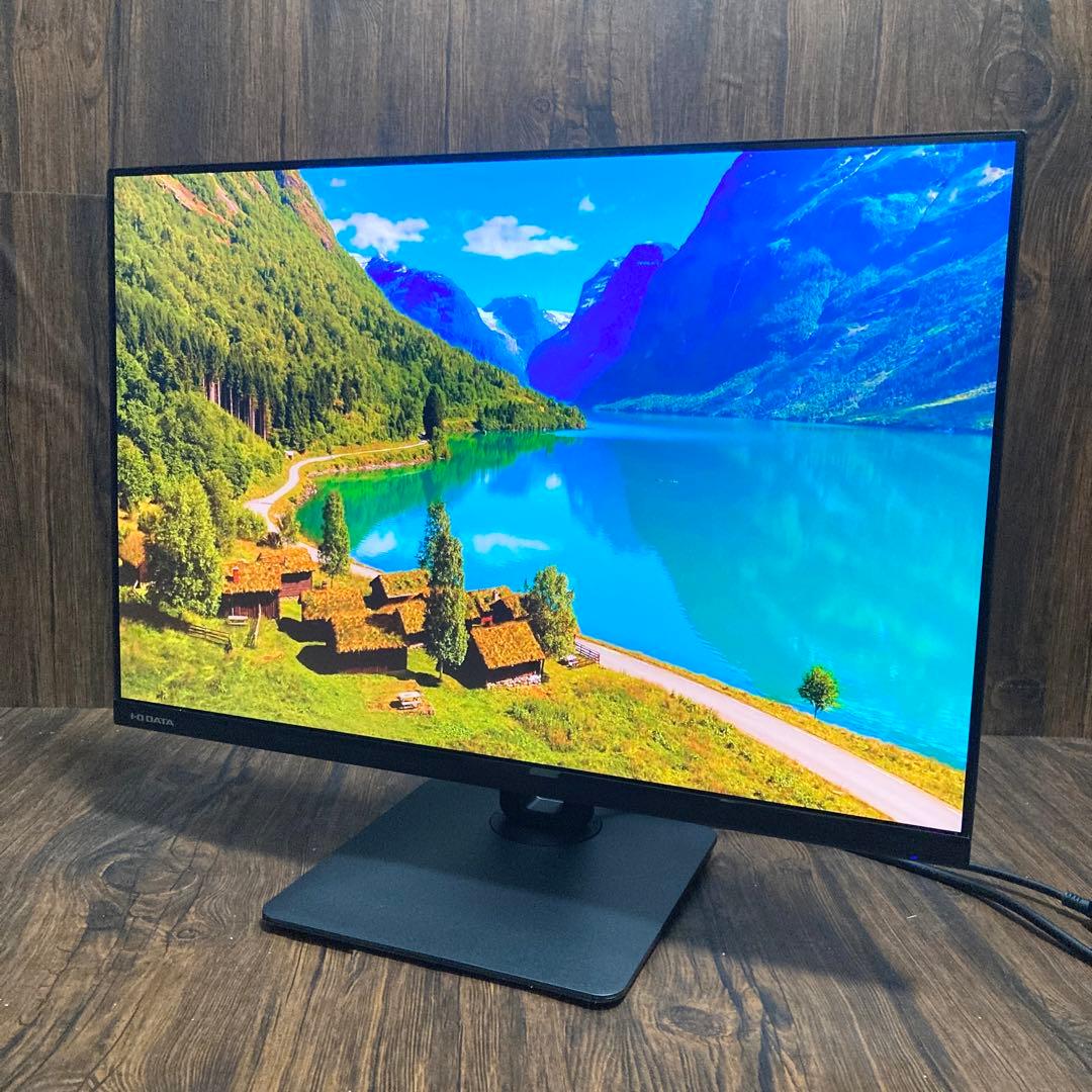 アイオーデータ機器 ワイドディスプレイモニター 25型 LCD-DX251EPB