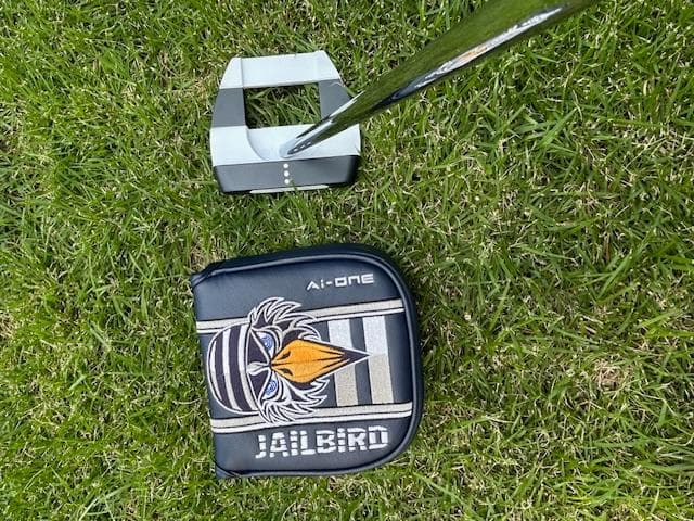 【美品】 オデッセイ　スクエア 2 スクエア ジェイルバード 34インチ