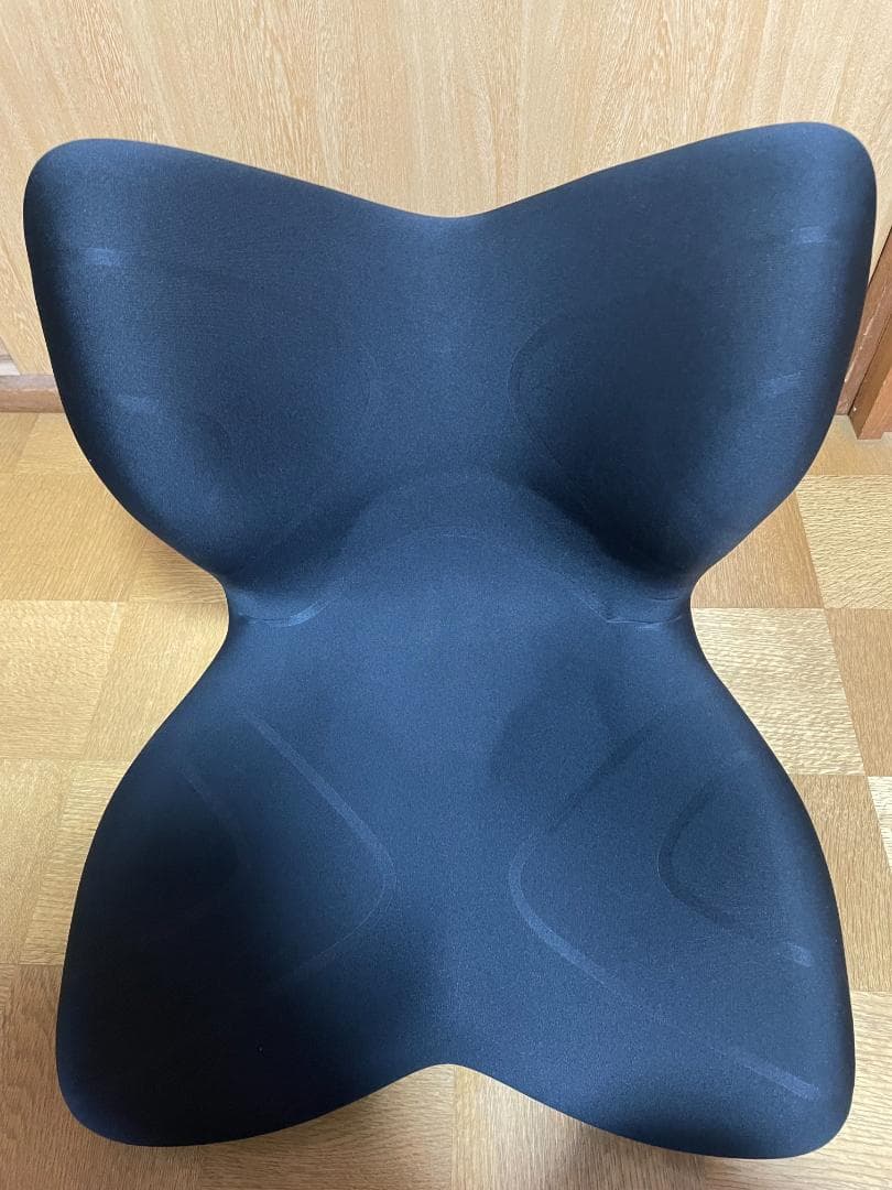 MTG Style PREMIUM 姿勢矯正 骨盤サポート ブラック