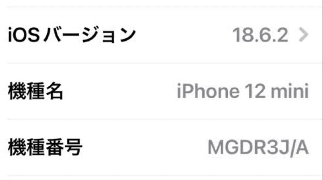 iPhone 12 mini 256GB 本体