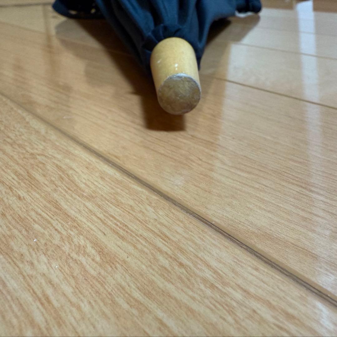 サンバリア100 日傘 フリル ブラック S 長傘