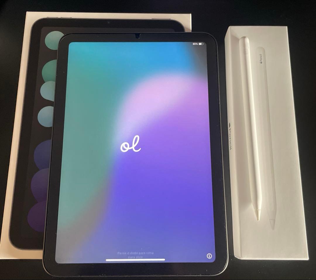 iPad mini 第6世代　Apple Pencil 2付き