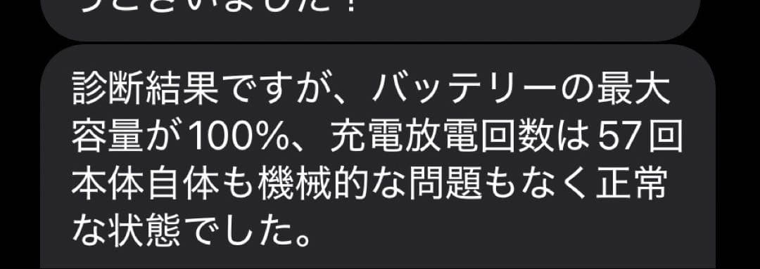 iPad mini 第6世代　Apple Pencil 2付き