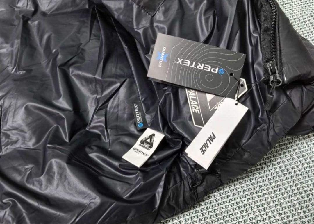 最安値 palace FW22 ダウン punkandyo GORE-TEX