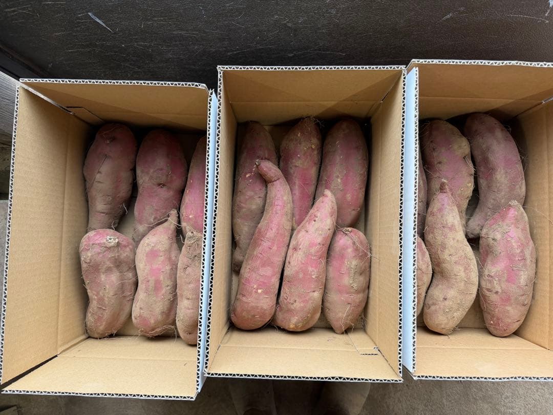 シルクスイート 大きめサイズ 150kg 訳あり品