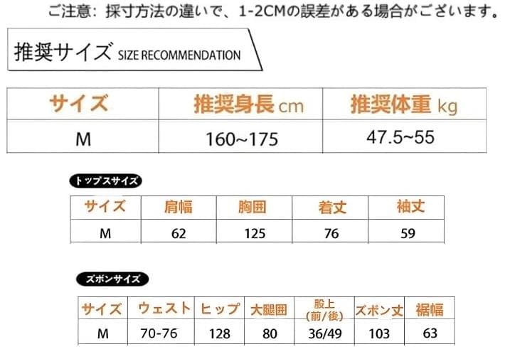 スキーウェア スノーボードウェア セットアップ M 上下セット レディース