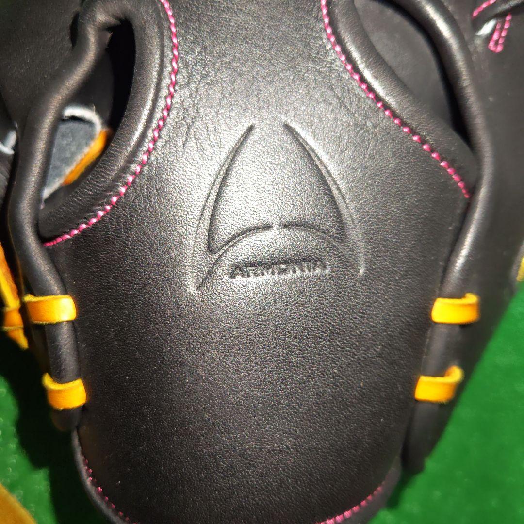 アイピーセレクト 硬式 オーダー キャッチャーミット アルモニーア 野球