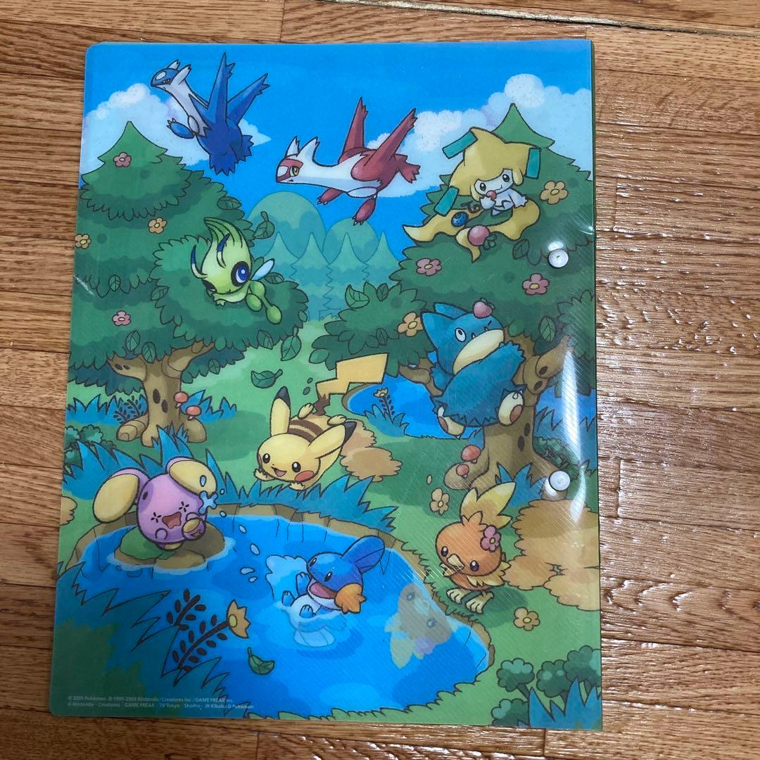 ポケモンカードゲーム　フォレストシート　ファイルのみ　ポケパーク　限定品