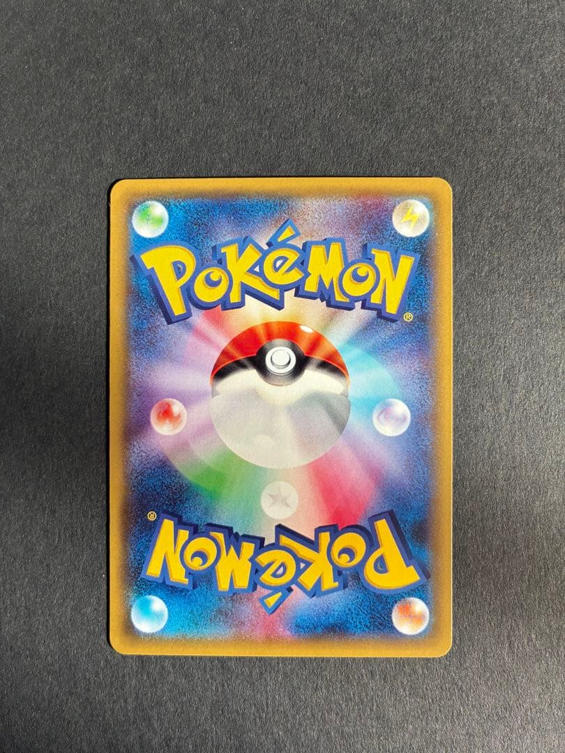 ポンチョを着たピカチュウ みく@ぷろふ確認お願いします専用