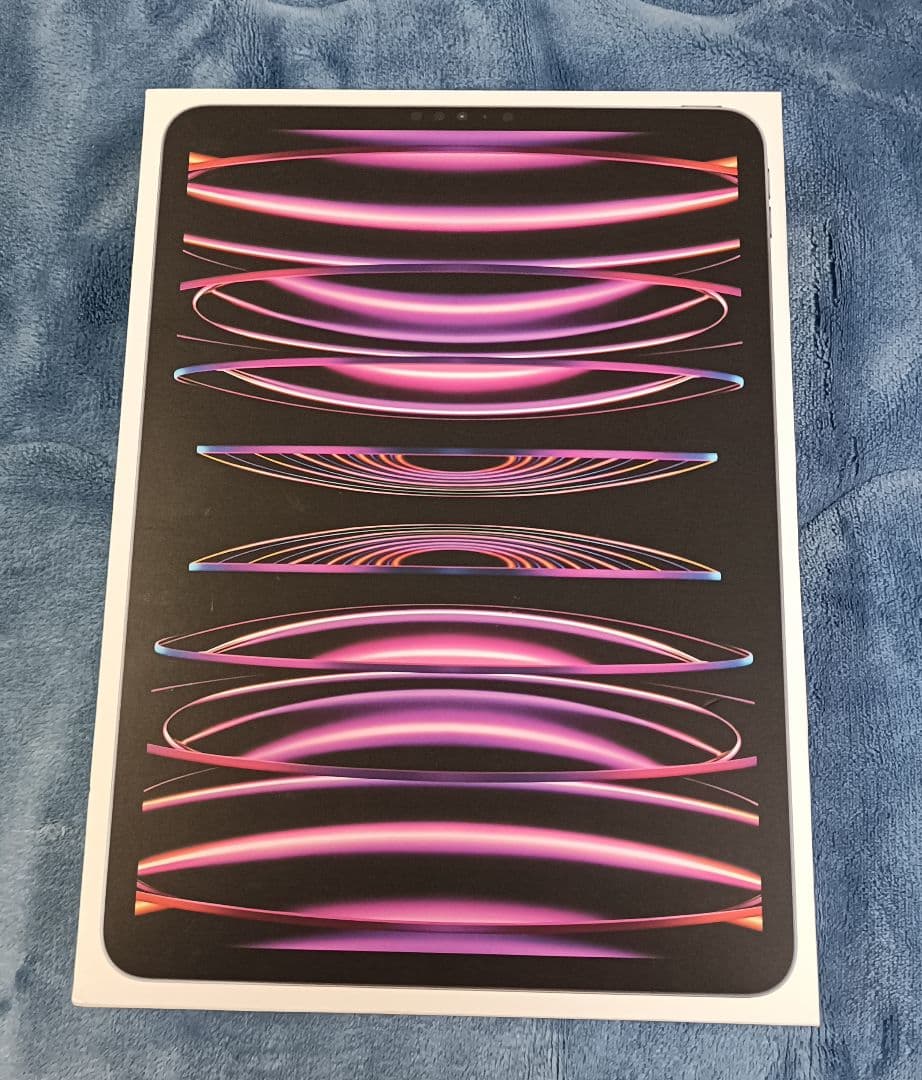 【美品】iPad pro 11 第4世代 256GB WiFiモデル