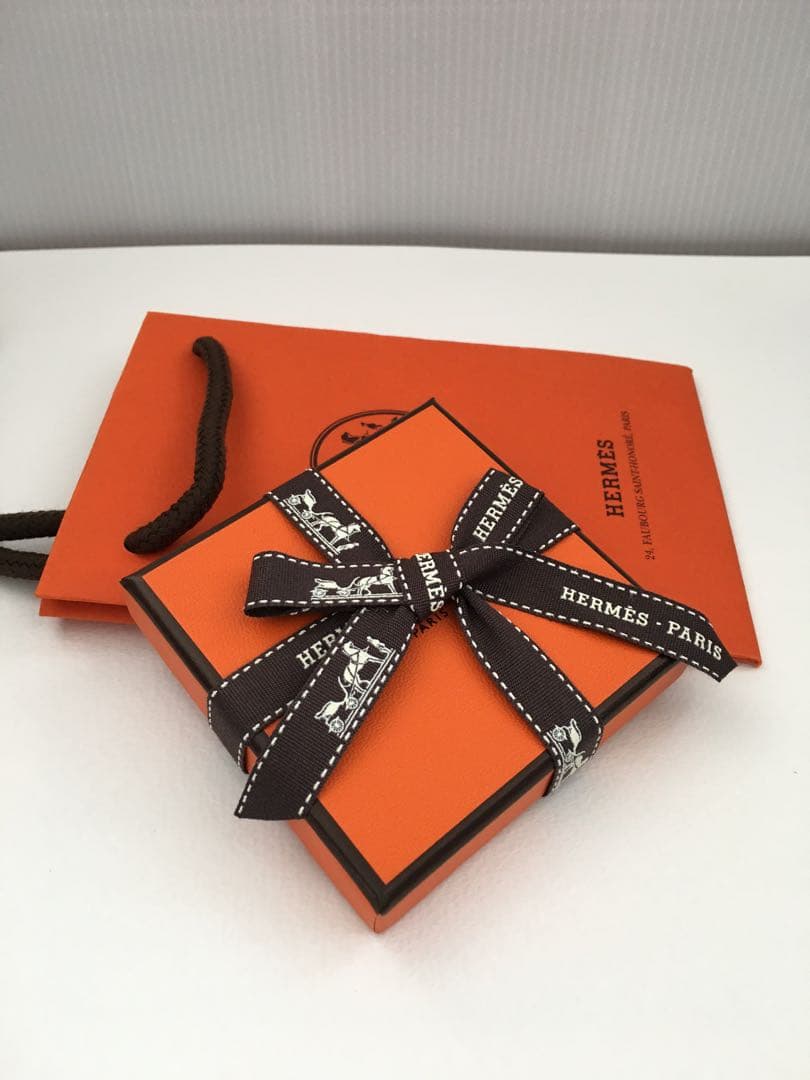 ☆HERMES 新作 　シングルピアス「サボ」　Sabo　ユニセックス