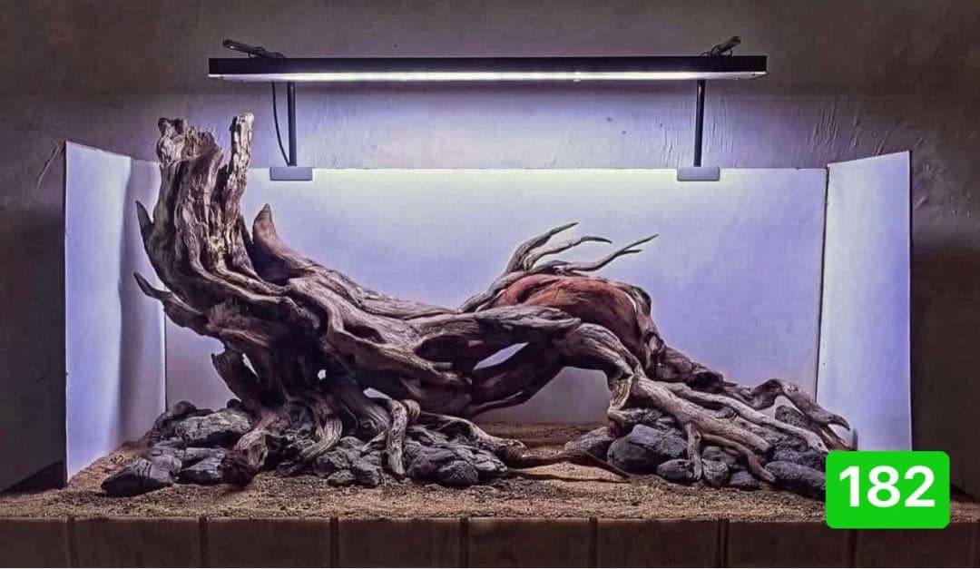 TTD 【⭐︎ 常識範囲の言い値でお譲りします!!様⭐︎】【美品・数量限定】