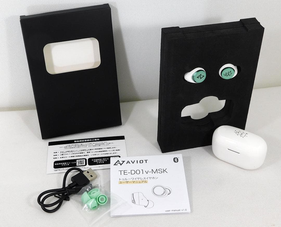 AVIOT×佐藤優樹コラボモデル 完全ワイヤレスイヤホン TE-D01v-MSK