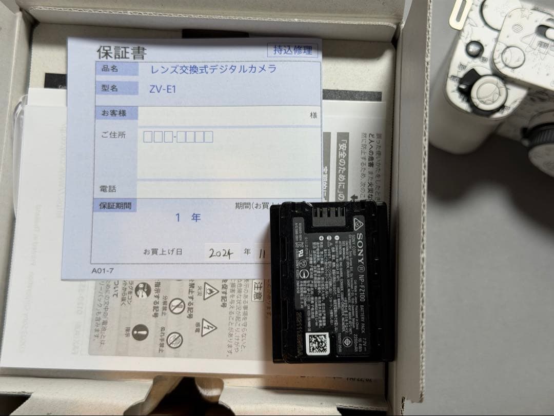 SONY ソニー ZV-E1