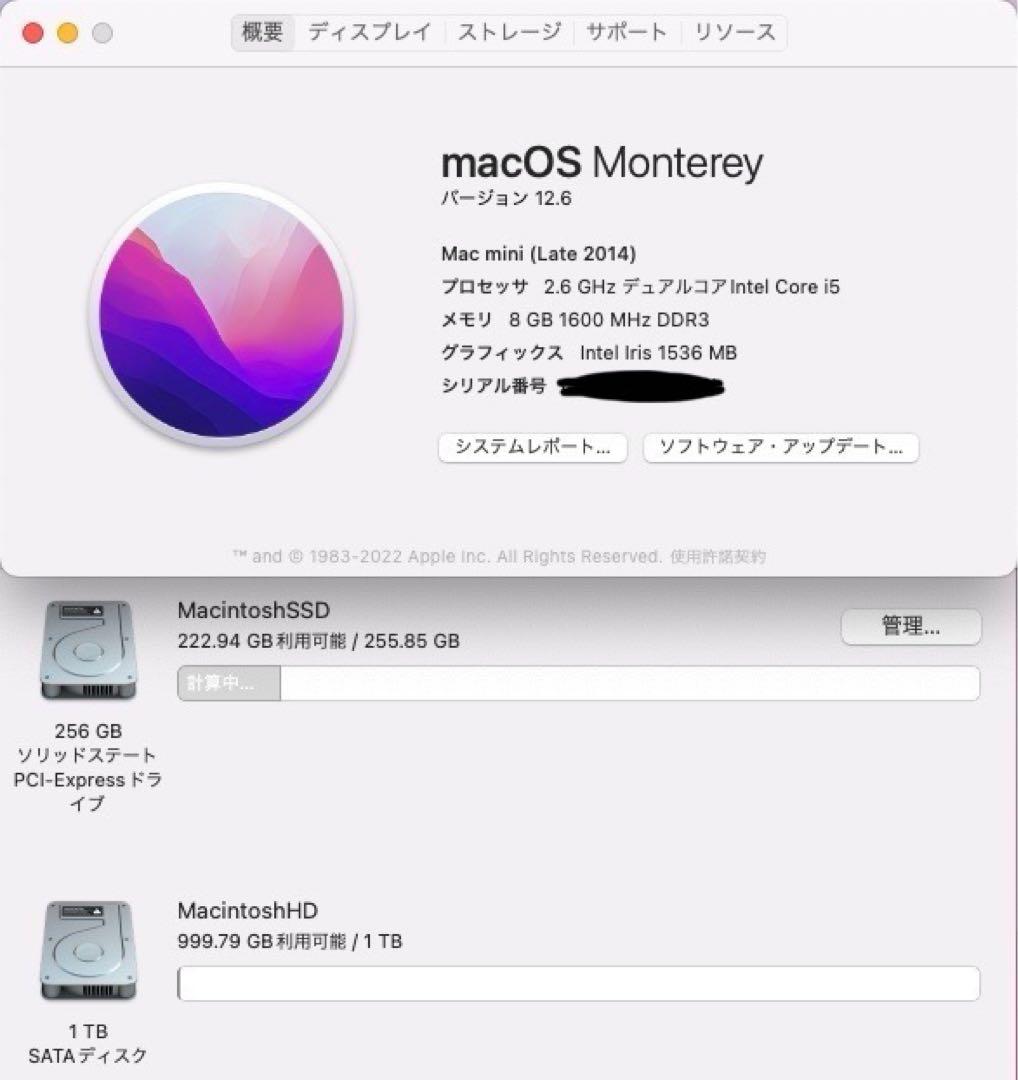 ［SALE！美品］Mac mini 2014/Windows11