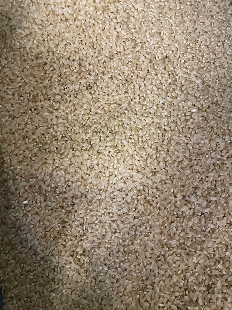 岩手県産　あきたこまち　令和7年　玄米30キロ（10キロ、精米可）