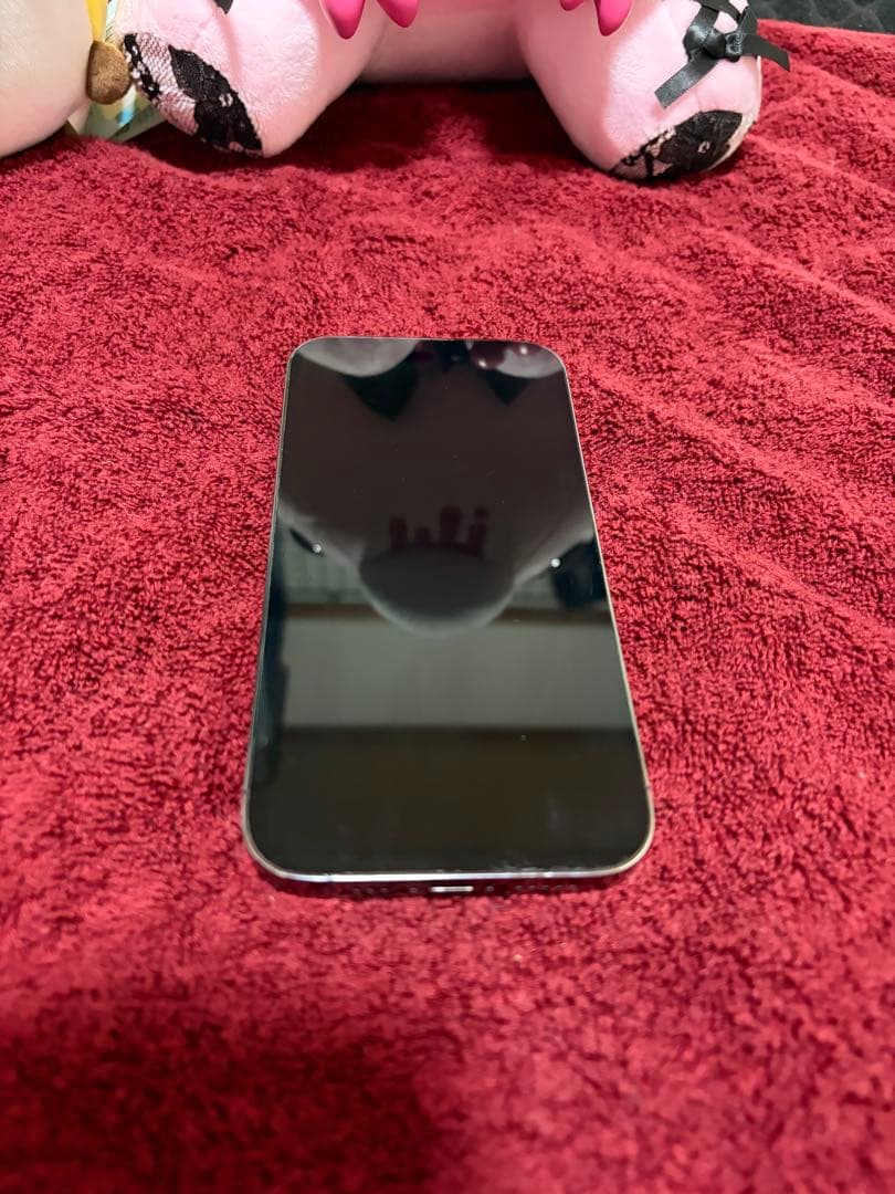 256GB iPhone 14 Pro ディープパープル　充電器付