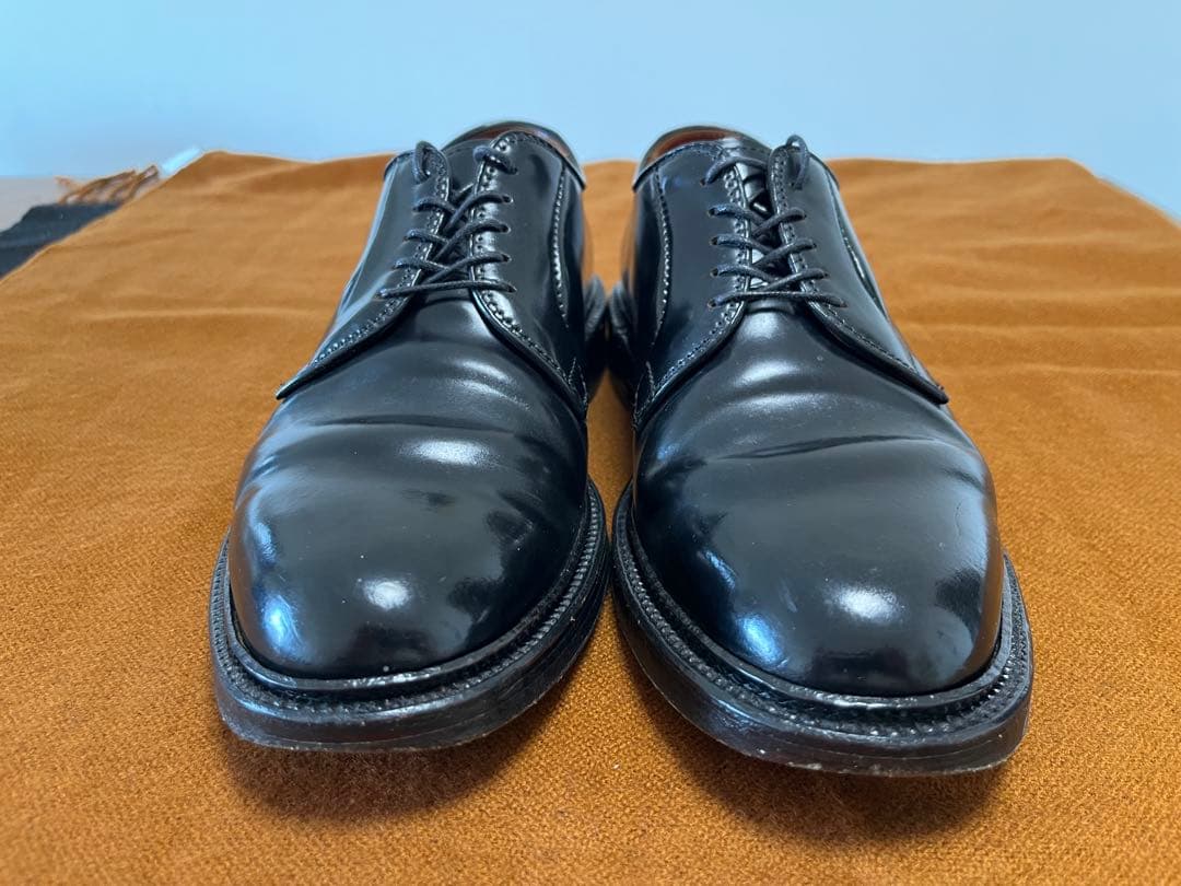 Alden 9901 コードバン6E