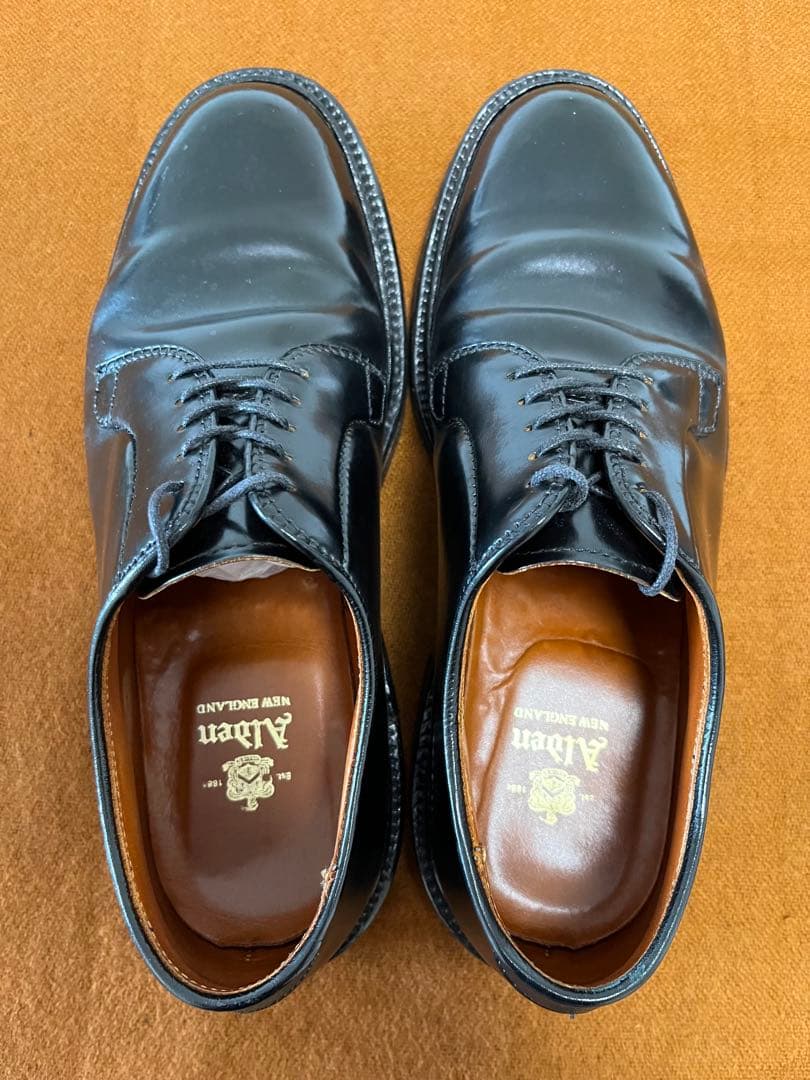 Alden 9901 コードバン6E