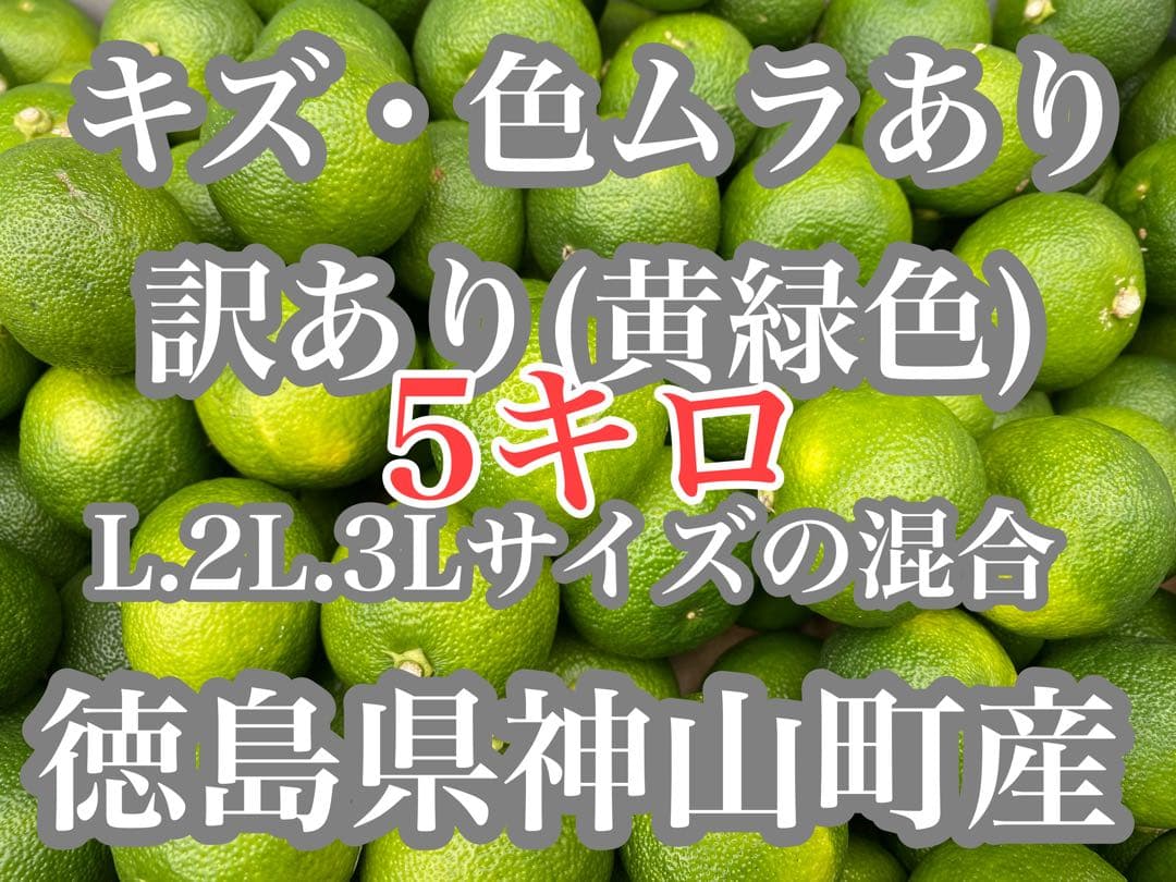 徳島県神山町産すだち《冷蔵貯蔵》10キロ　キズ・色ムラあり　黄緑色になります。①