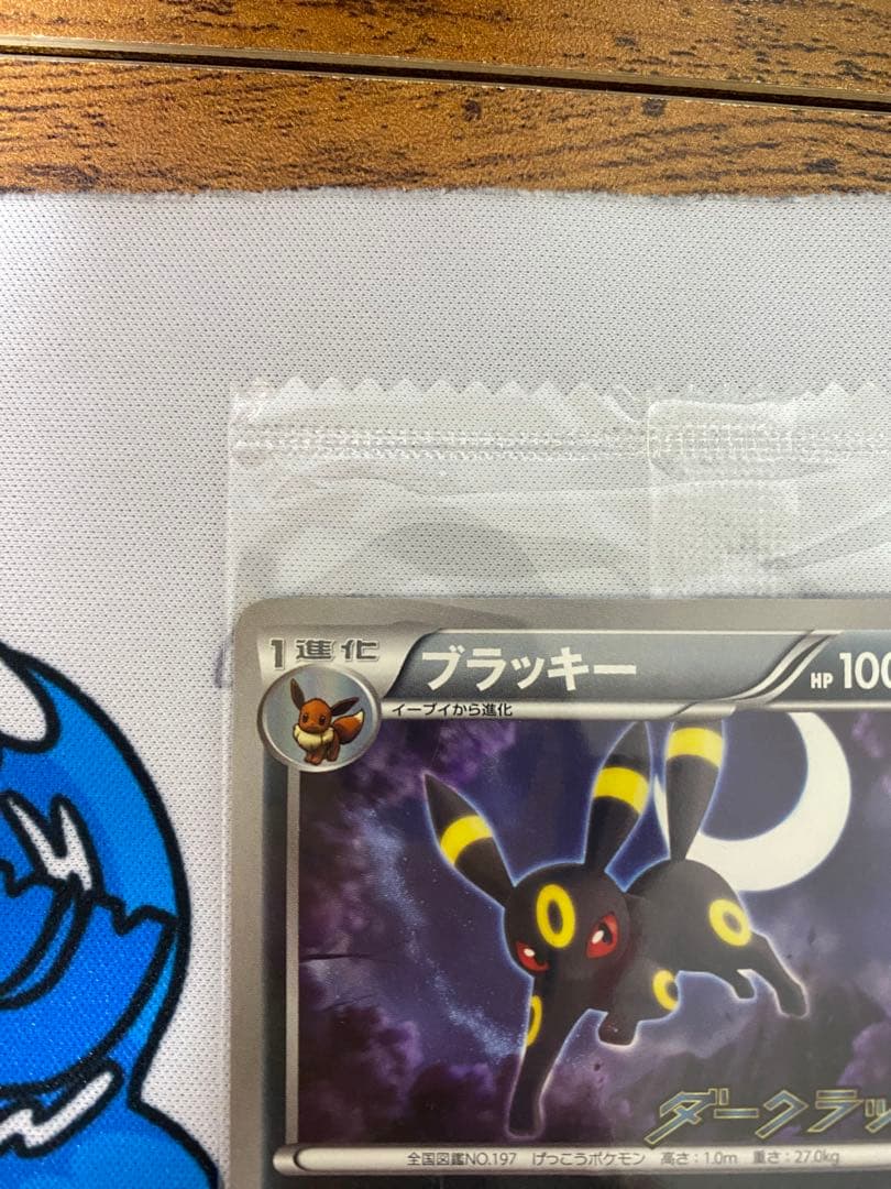 ポケモンカード　ブラッキー ダークラッシュ 　　115/BW-P　プロモ 未開封