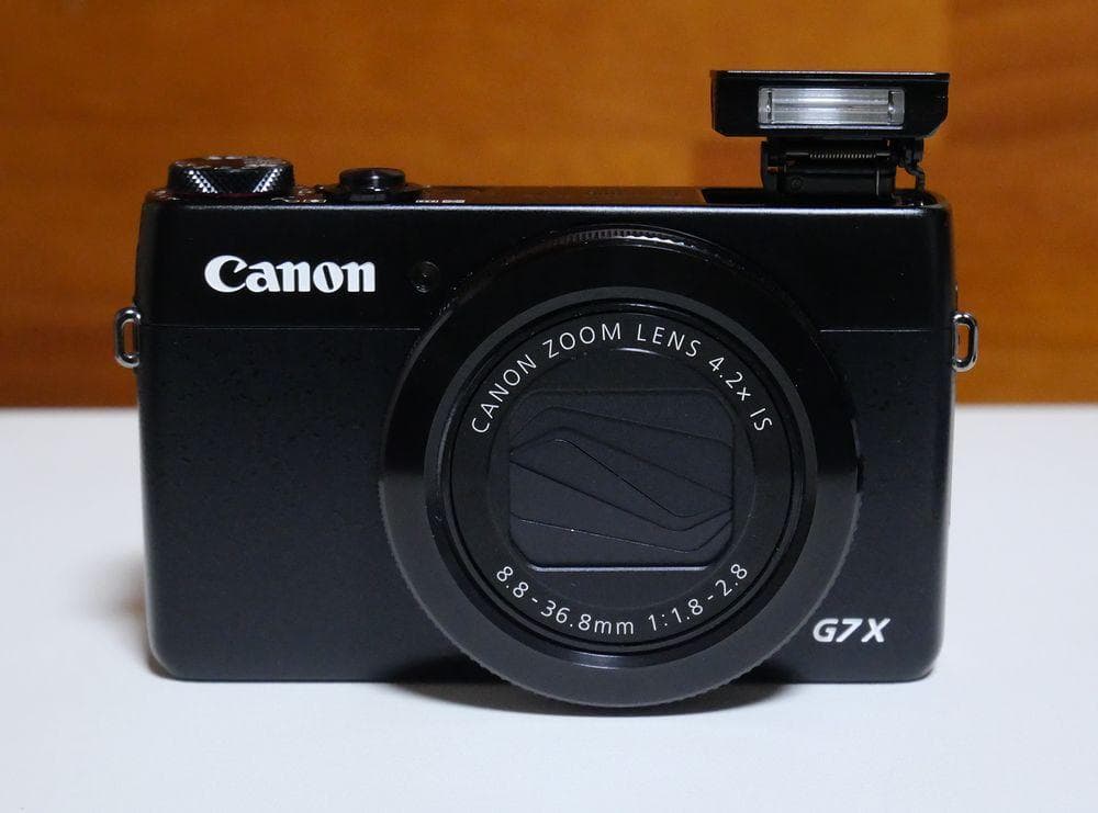Canon PowerShot G7 X 本体 バッテリー×2 ガイドブック