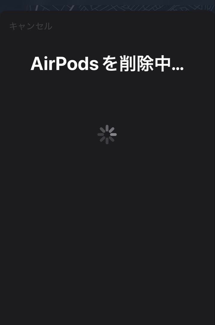 【美品】AirPods Pro 第1世代　本体 magsafe充電ケース付き