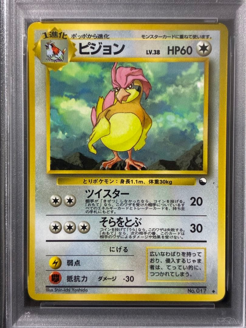 下111 世界127枚 PSA9 ピジョン 拡張シート 旧裏 1998 17 6