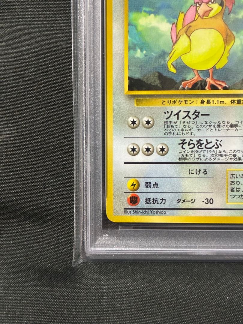 下111 世界127枚 PSA9 ピジョン 拡張シート 旧裏 1998 17 6