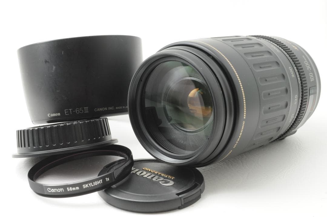 Canon キヤノン EF 100-300mm F4.5-5.6 USM