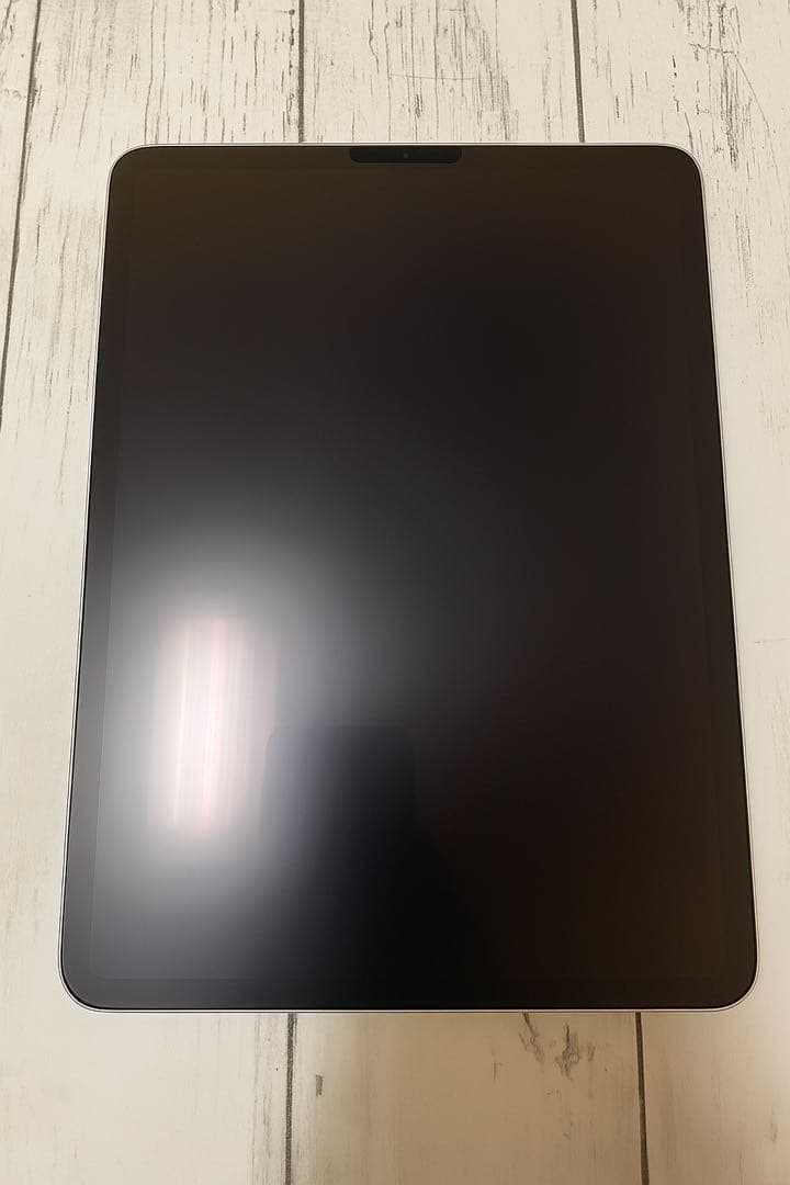 Apple iPad Pro 11インチ 第2世代 シルバーWiFiモデル 本体