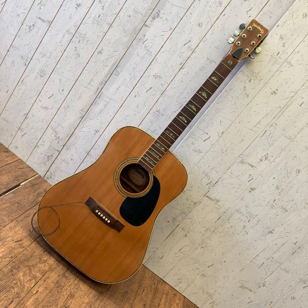 ジャンク品 ヒルビリー Hellbilly W-35 アコースティックギター