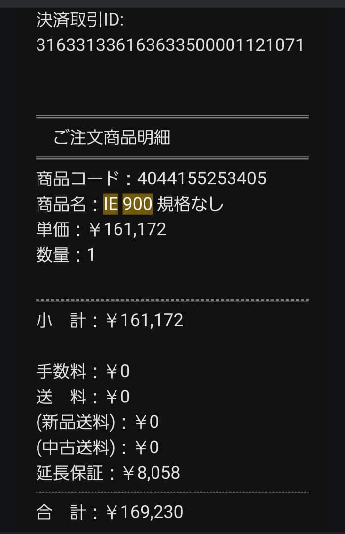 Sennheiser IE 900 有線イヤホン