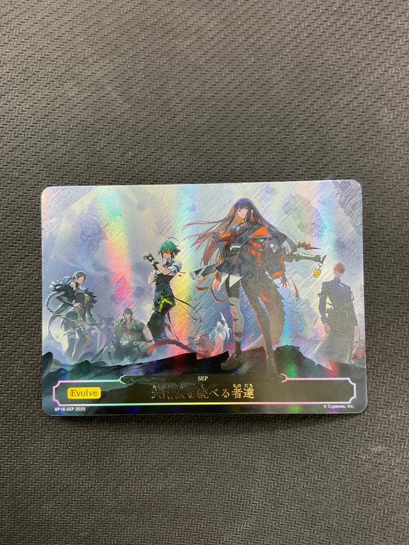 六銘伝を統べる者達　交換用カード