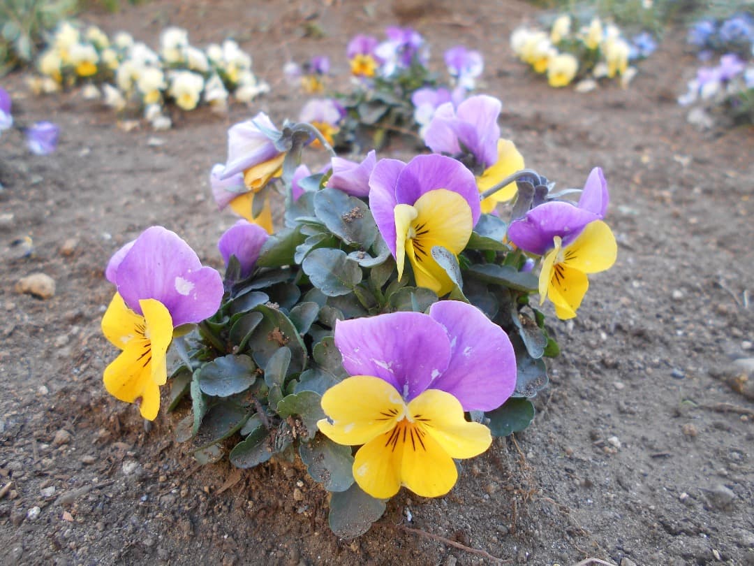 追加有り⭕️【動作確認済】 Nikon COOLPIX L32