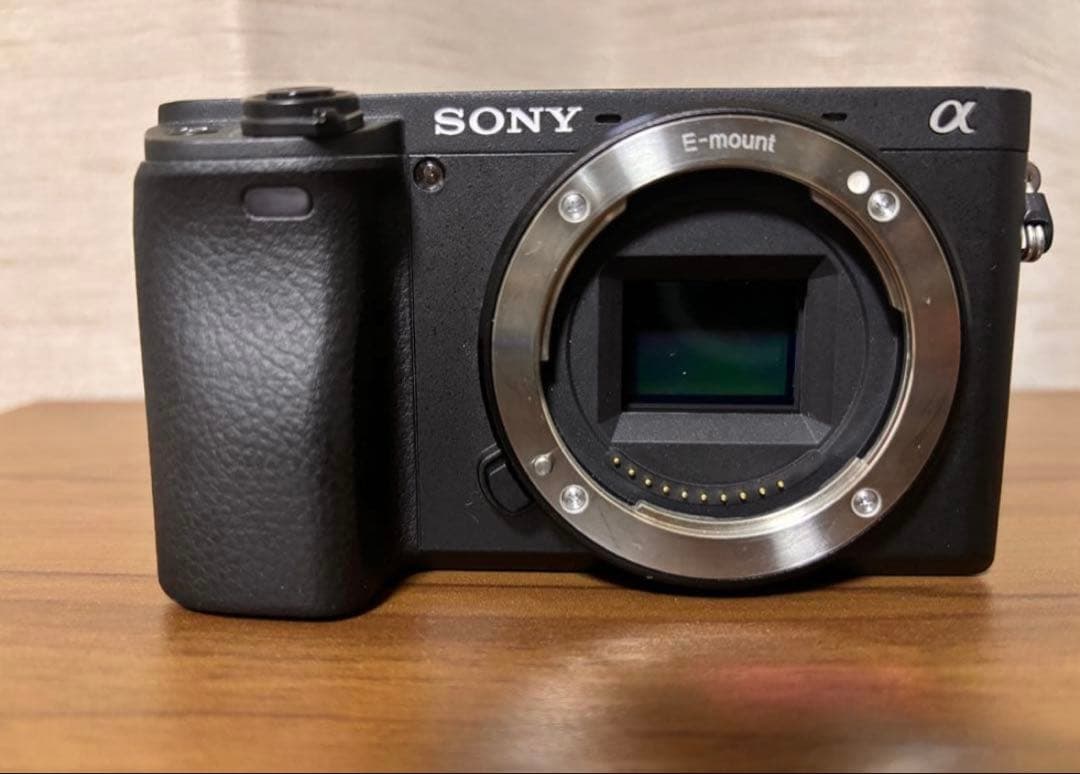 シャッター数約1700 Sony α6400 ダブルズームレンズキット