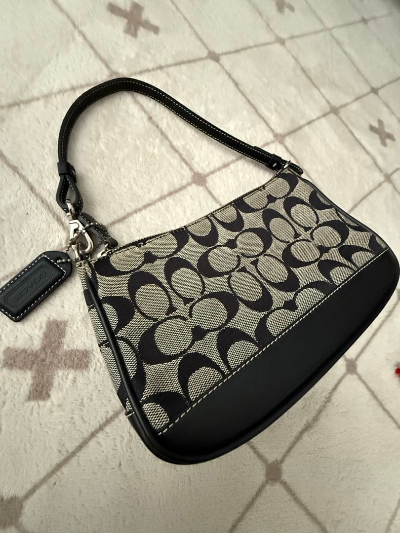 COACH コーチ ミニハンドバッグ ポーチ 保存袋付き