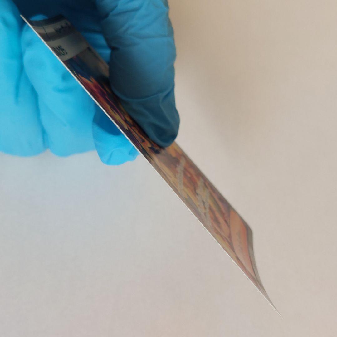 アセロラのいたずら　SAR　090/063