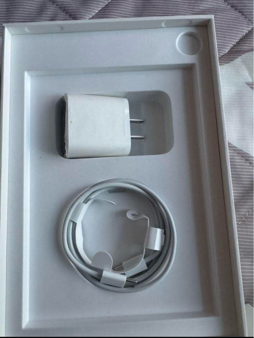 iPad mini (第6世代) + Apple Pencil セット