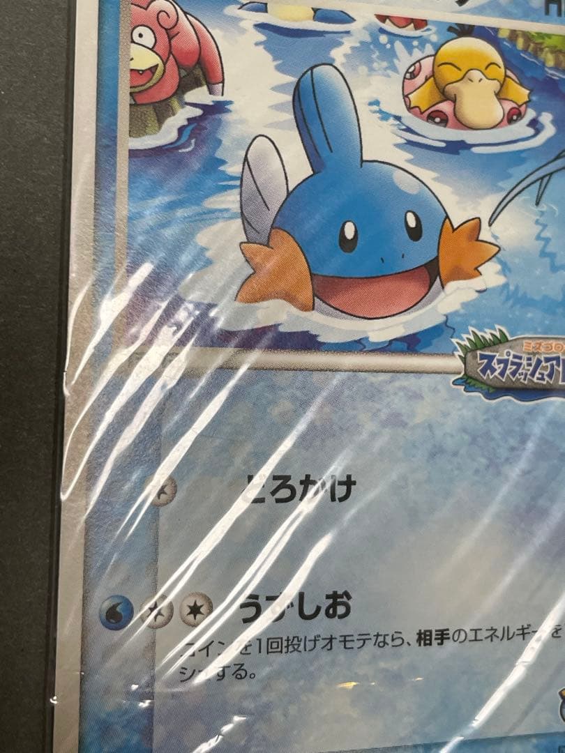 ポケパークのミズゴロウ 未開封 プロモ 046/PCG-P