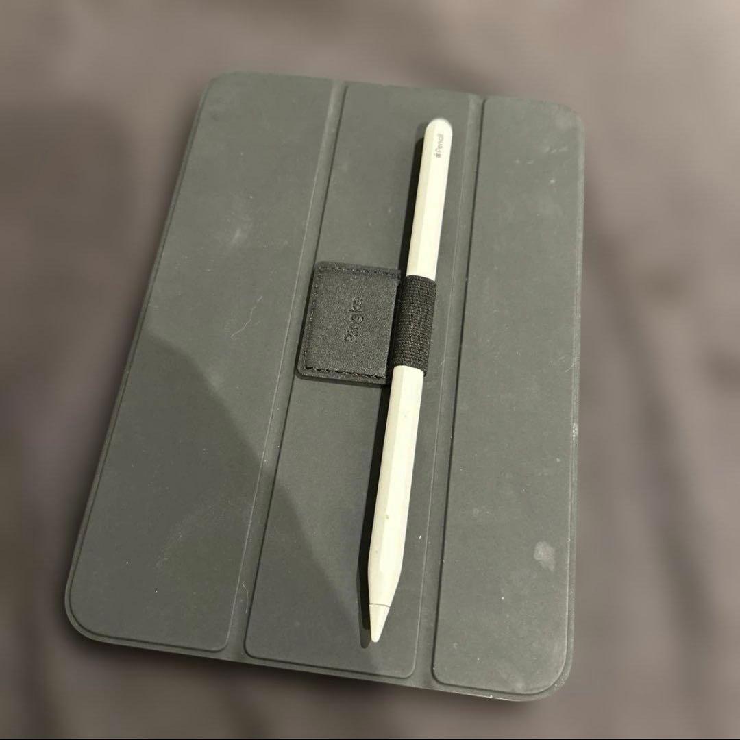 (美品・おまけ付) iPad mini Wi-Fiモデル 256GB