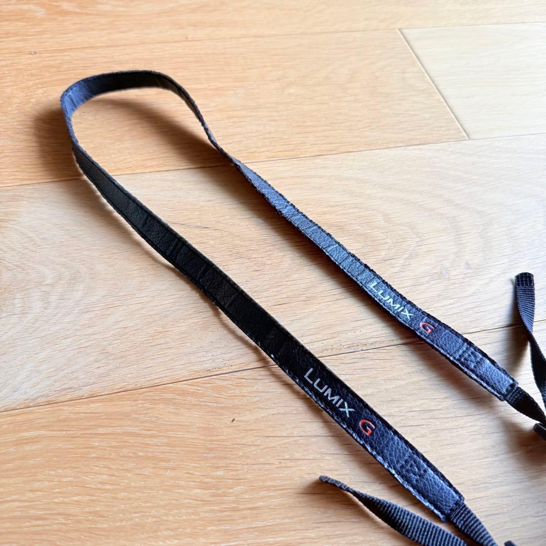 【起動確認済み】LUMIX DC-GF9W デジタル一眼カメラ ダブルレンズ