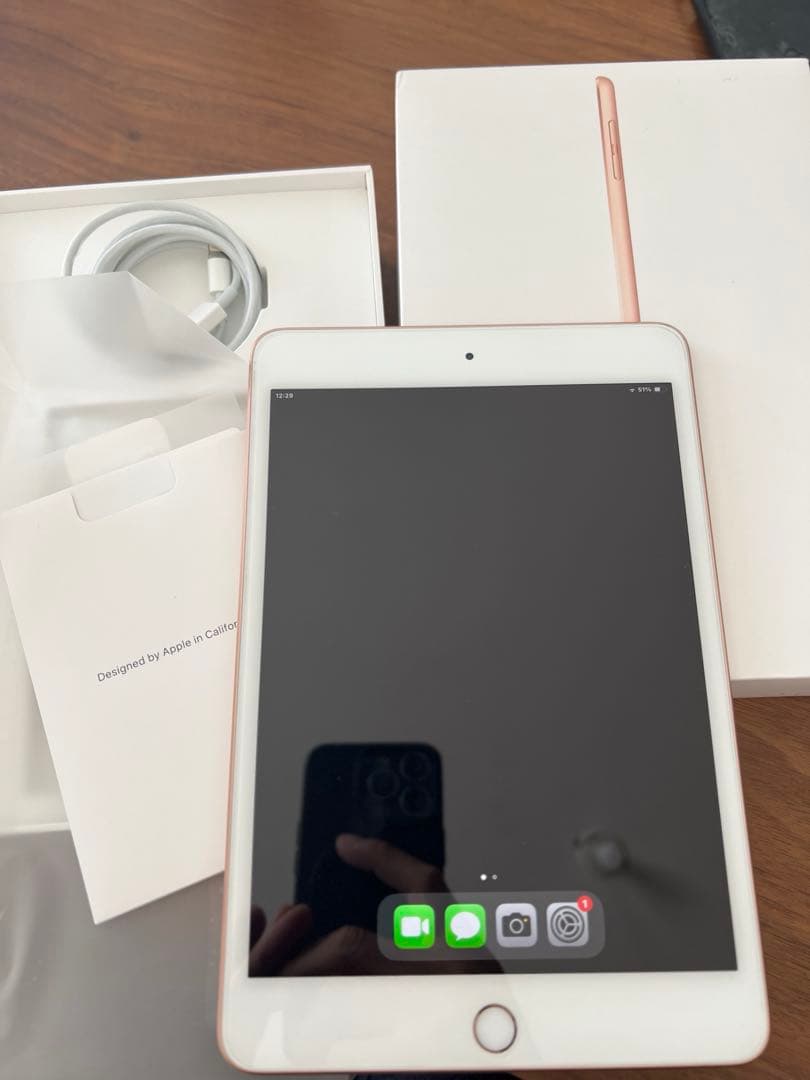 iPad mini (第5世代) ローズゴールド 本体