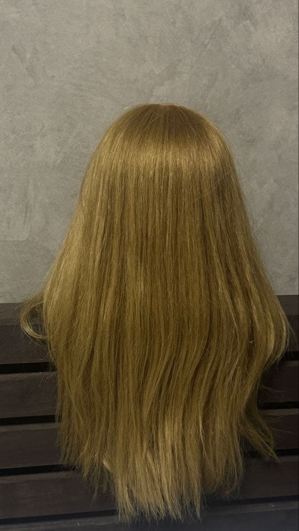 卵焼きさん専用◎NBAA ヘアアレンジ アップウィッグ ブロンド