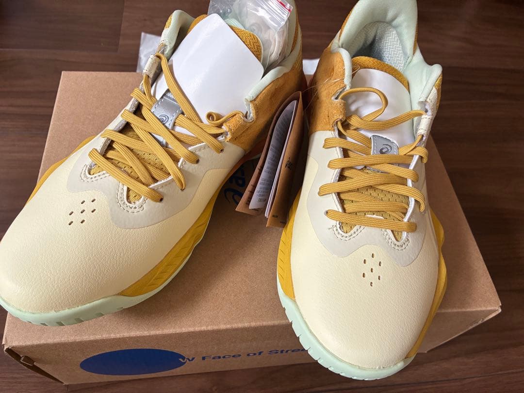 ボーラホリック × アシックス ノヴァ サージ 希少サイズ25.0