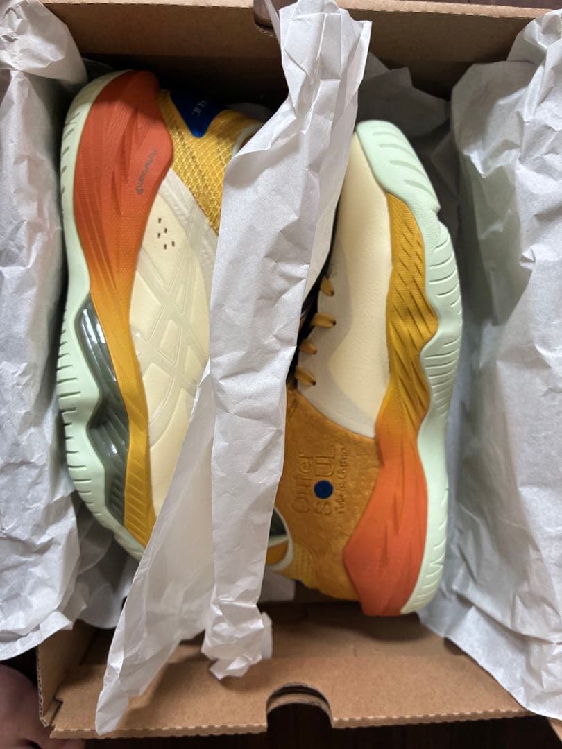 ボーラホリック × アシックス ノヴァ サージ 希少サイズ25.0